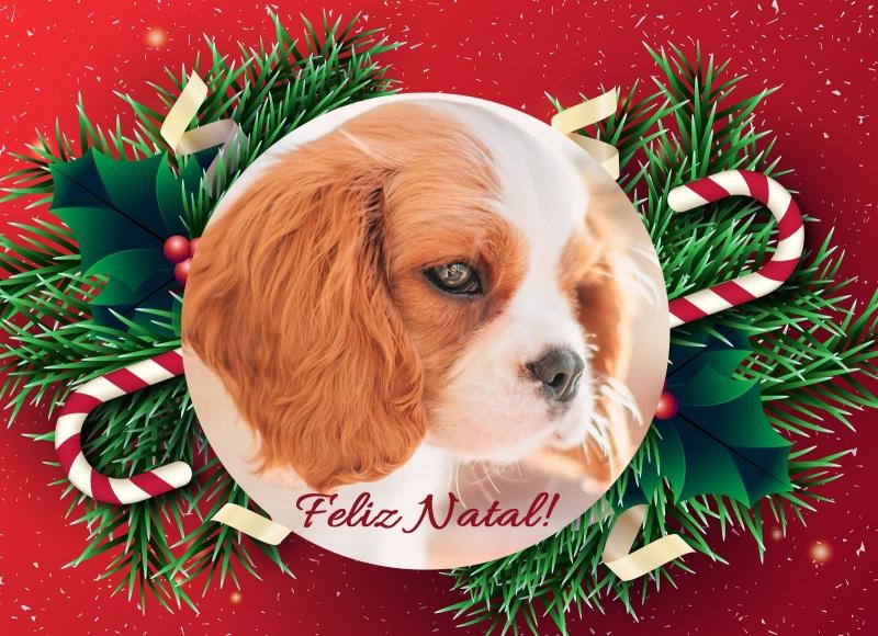 Feliz Natal para todos que amam seus Kings