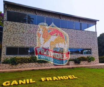 O Canil