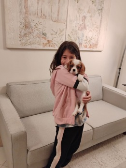 Galerias - Filhotes Vendidos