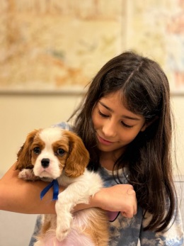 Galerias - Filhotes Vendidos