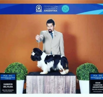 Galerias - Exposições